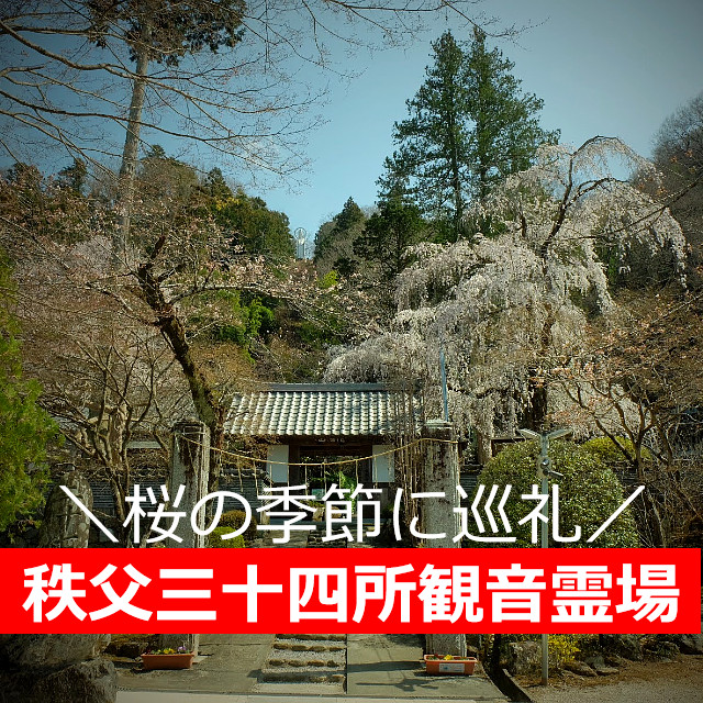 秩父三十四所観音霊場【実質5日目】桜の季節に巡礼