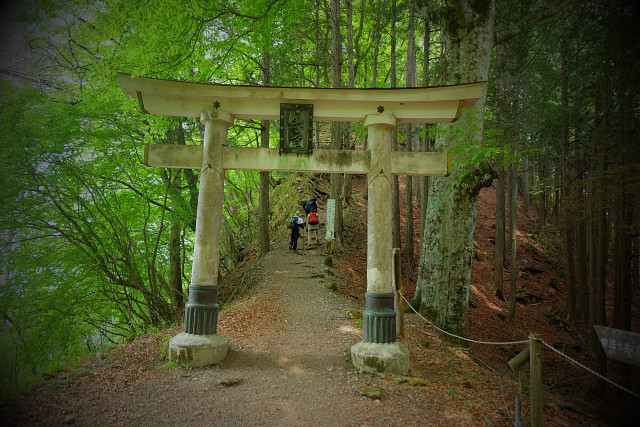 三峰神社奥宮まで！杉の木立の参道を登る