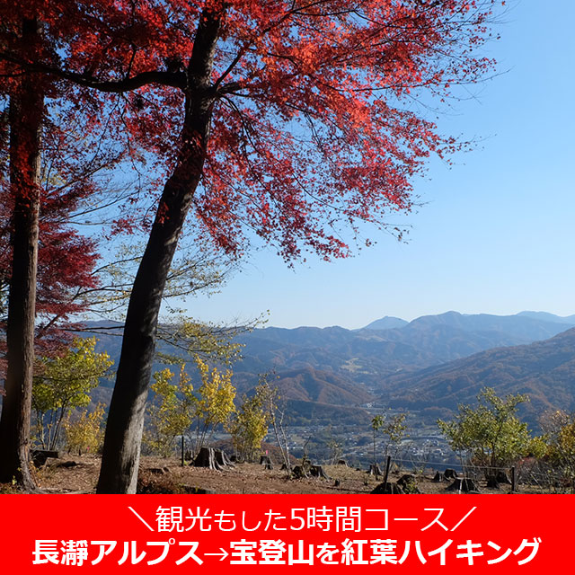 長瀞アルプス→宝登山の紅葉を登山、ハイキング♪観光もした【5時間】コース