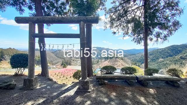 大通領神社の奥のベンチがおすすめ！花桃の郷、絶景ポイント