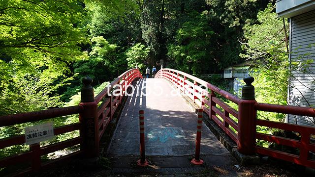 バス停「大輪」に到着！鳥居から三峯神社の表参道へ