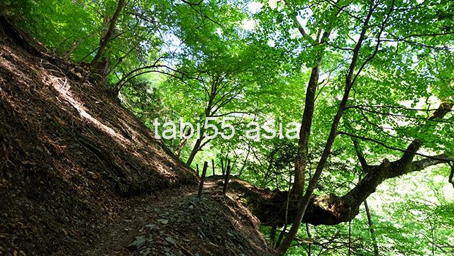 苔！苔！苔！三峯神社の表参道を登る