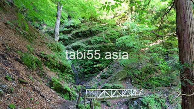 苔！苔！苔！三峯神社の表参道を登る