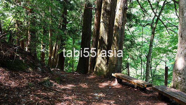 苔！苔！苔！三峯神社の表参道を登る