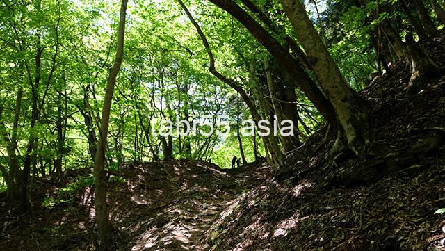 表参道、最後の休憩地！薬師堂跡