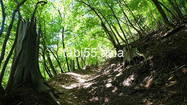 表参道、最後の休憩地！薬師堂跡