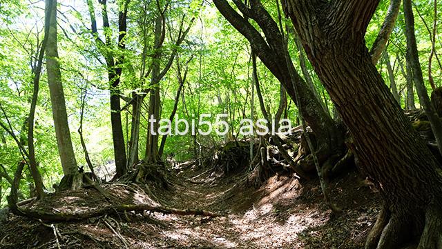 三峯神社の奥宮遥拝殿に【2.75h】で到