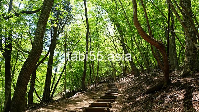 三峯神社の奥宮遥拝殿に【2.75h】で到